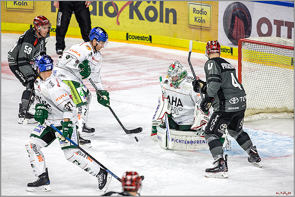 DEL Koelner Haie - Augsburg Panther, 14.09.2018